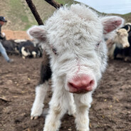 岁数大，手还抖