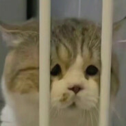 我一个女孩子怎么可能守得住B