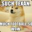 The Texan Doge