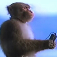 𝐿𝒾𝑔𝒽𝓉𝓃𝒾𝓃