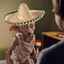 Dobby o elfo do México