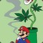 Mario on Drugs