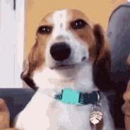 XavieR