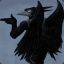 The_Crow