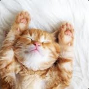 hongmaster
