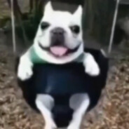 Скачать Скачать