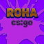 ROHA