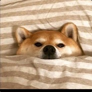 墨尔本小鹌鹑1111