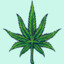 Tor4oK