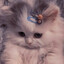 Miwzusia &lt;3