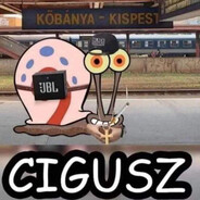 Cigusz