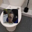 Marcinini Toilet