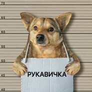 𝕡𝕤𝕚РУКАВИЧКА