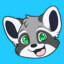 Silver the Raccoon