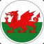 Welsh Dragon