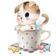 先打鼠鼠别打我