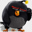 Boomber made doodoo opsiedopsie