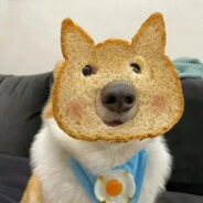 我是图图小淘气