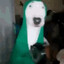 CACHORRO PANELEIRO