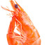 Shrimper