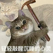 队长，别开枪！