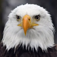 MReagle