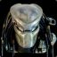 Predator