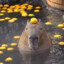 Capybara