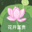 BigBoss.Yu