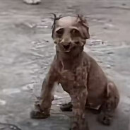 突破手兼突破口