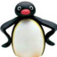 Pingu