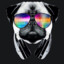 PassaNoHighHz