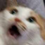 MEOW MEOW's avatar