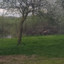 lynmark1