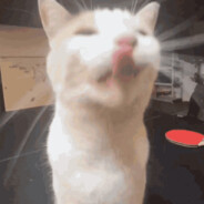 Silliest of them all