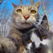 Fk(statTrak™)崭新出土