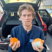 Ignaś - steam id 76561199076456764