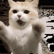 大哥请喝崂山白花蛇草水