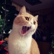 绎