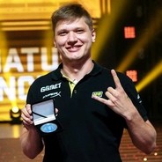 山有木兮木有枝