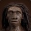 HOMO ERECTUS