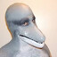 RoughDolphin79
