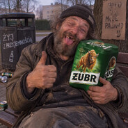 Żubr