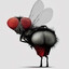 Fly ass