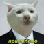 Амбассадор дурки