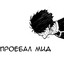 Neverx