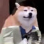Perro bomba waton
