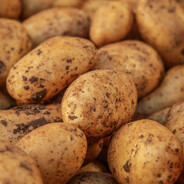elijah.sweeney