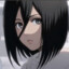 Mikasa