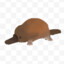 PLATYPUS